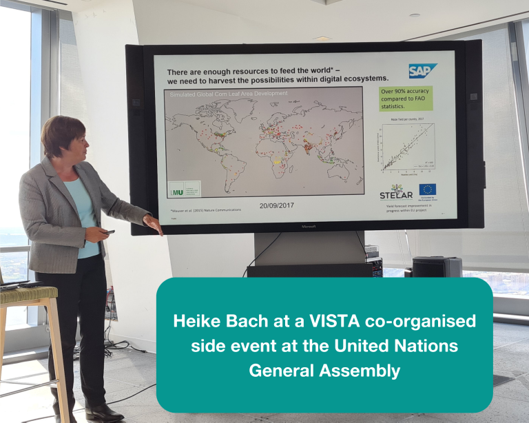 Image showing Heike Bach from VISTA (and STELAR consortium member) presenting in New York on a UNGA side-event.