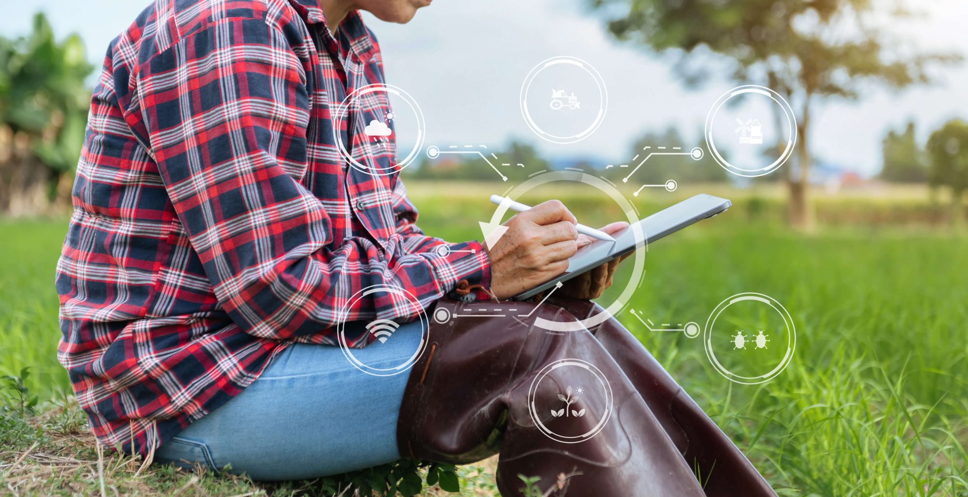 Agricultural Data Management: Benefits for Farmers - STELAR