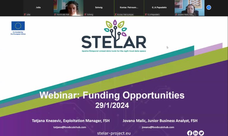 In text visual that represents screenshoot from webinar about funding opportunities.