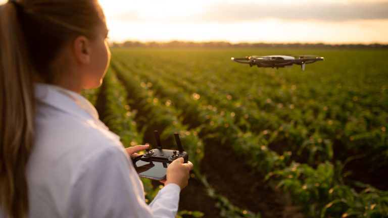 Woman navigates a drone on the farm