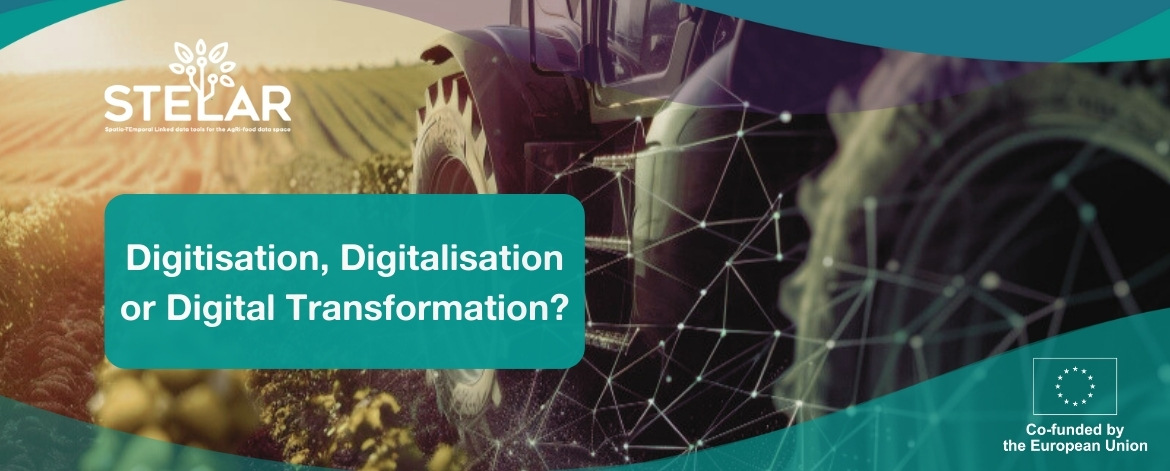 Main visual representing our blog about digital transformation.