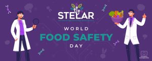 World Food Safety Day 2024: Facing Data Management Challenges with STELAR