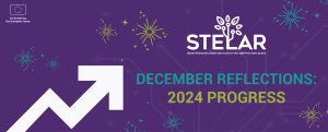 December Reflections: A Year of Progress with STELAR