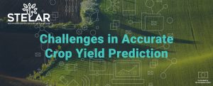 Key Challenges in Accurate Crop Yield Prediction