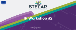 Tailored IP Strategies: Protecting Project Results Effectively