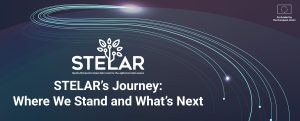The Final Year: Delivering on Our Vision