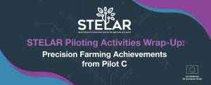 STELAR Piloting Activities Wrap-Up – Precision Farming Achievements from Pilot C